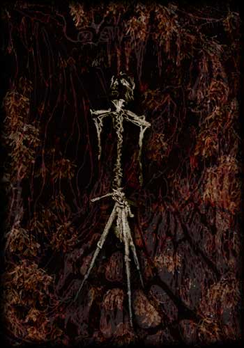 Sacrarium Maestorum - Still Death - Sorrow Black Metal